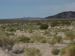 California2007-2008-001
